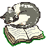 a cat curled up on a book